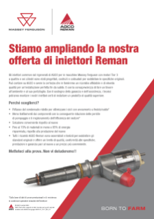 MF Reman Injector Leaflets 2022