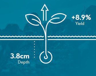 Planting sugar beet infographic